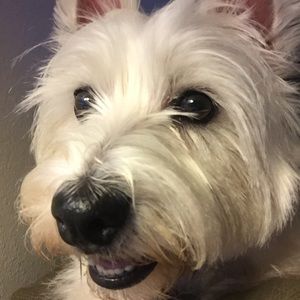 Meet your Posher, Sandra